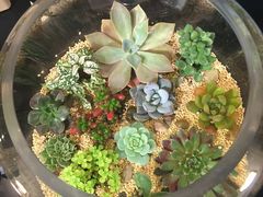 -双季花艺园艺市场(浦东店)
