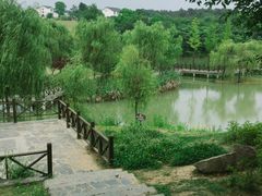 -大塘金香草谷