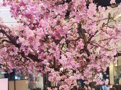 -宝月楼·台湾菜馆(天河城店)
