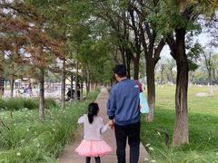 -汉长安城未央宫国家考古遗址公园