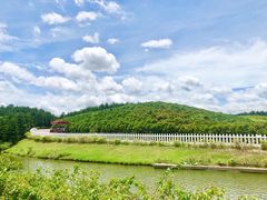-迪茵湖田家舍生态农场