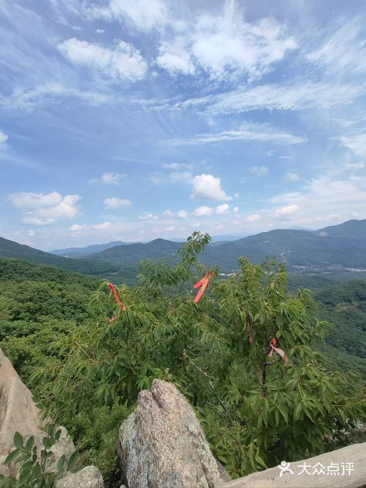 吉林市朱雀山国家森林公园图片