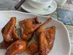 -东鸽皇(奥园·中环广场店)