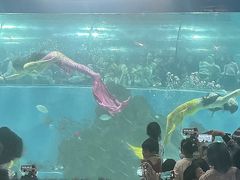 -苏州海洋馆