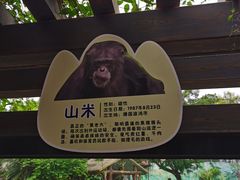 -南宁市动物园