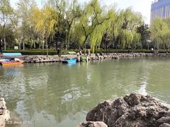 -西苑公园