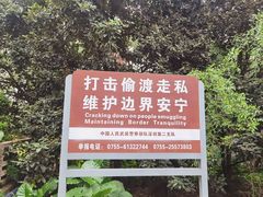 -福田红树林生态公园