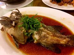 清蒸海青斑-金河半岛园林酒家(金融城店)
