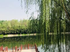 -西安汉城湖景区