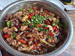 -食神又名厕所兔