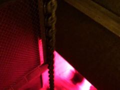 -秃鹫湾·推理大师沉浸式实景演绎推理剧场