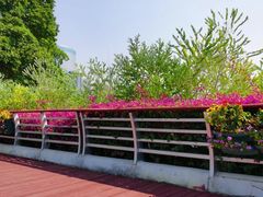 -海心沙亚运公园