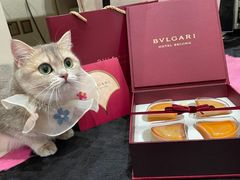 -美联众合爱康动物医院•复杂内科•肿瘤科•牙科•腔镜诊疗中心