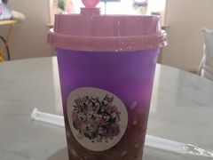 -Husky Go! 哈士奇体验馆·宠物咖啡厅狗咖