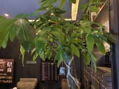 -鹿栖.精油SPA(金山世纪城店)