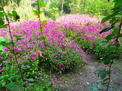 -沕沕水生态风景区