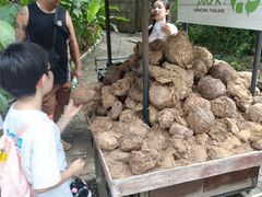 -大象粑粑造纸公园