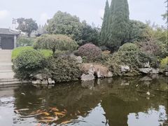 -梅园