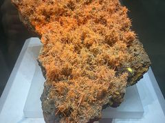 -湖南省地质博物馆