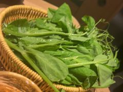 -巴奴毛肚火锅(七宝领展广场店)
