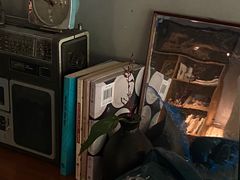 -时光花园(白鹭洲店)