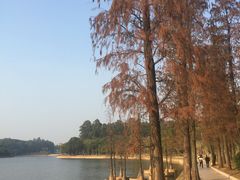 -南国桃园旅游度假区