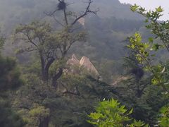 -北京鹫峰国家森林公园
