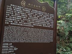 -峨眉山报国寺