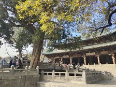 -晋祠公园