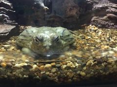 -暹罗海洋世界