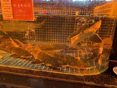 -云境生态园(红谷滩店)