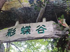 -天目湖山水园