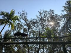 -西双版纳傣族园