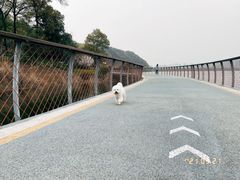 -南昌青山湖风景区