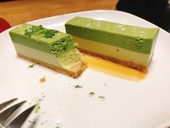 -柴务处·柴犬主题狗咖