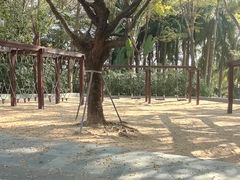 -深圳国际园林花卉博览园