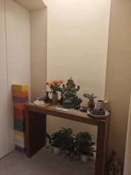 -阿南达·瑜伽普拉提·阿育吠陀疗愈中心