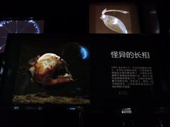 -同济大学四平路校区深海探索馆