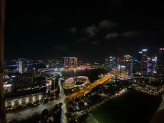 -新加坡瑞士史丹福酒店