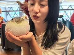 -肆月河豚·新淮扬(金融街店)