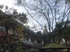 -郫都区农科村景区