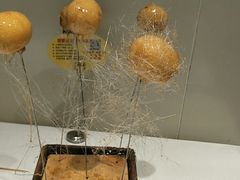 -煜丰汴京烤鸭(福彩路店)