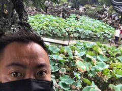 -古乐牛香·鲜牛肉牛杂火锅(新区店)