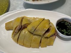白斩鸡-广玉兰上海菜(德平店)