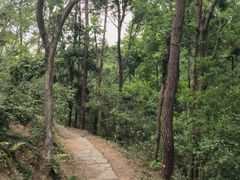 -青龙山国家森林公园