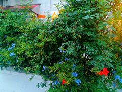 -环城公园-琥珀潭