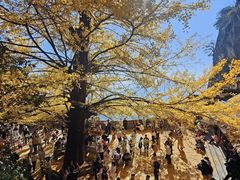 -大慈岩风景区