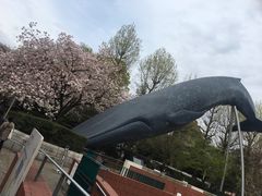 -东京国立博物馆