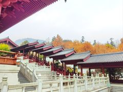 -牛首山文化旅游区