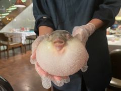 -肆月河豚·新淮扬(金融街店)